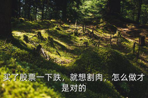 買了股票一下跌，就想割肉，怎么做才是對(duì)的