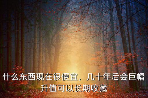 什么東西現(xiàn)在很便宜，幾十年后會巨幅升值可以長期收藏