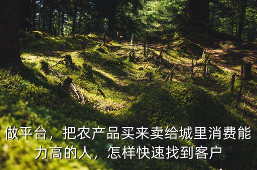 做平臺，把農(nóng)產(chǎn)品買來賣給城里消費能力高的人，怎樣快速找到客戶