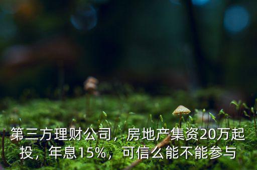 第三方理財公司，房地產(chǎn)集資20萬起投，年息15%，可信么能不能參與