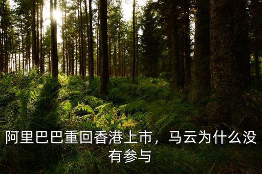 阿里巴巴重回香港上市，馬云為什么沒有參與