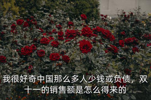 我很好奇中國那么多人少錢或負(fù)債，雙十一的銷售額是怎么得來的