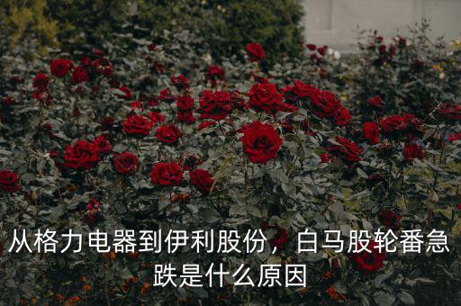 從格力電器到伊利股份，白馬股輪番急跌是什么原因