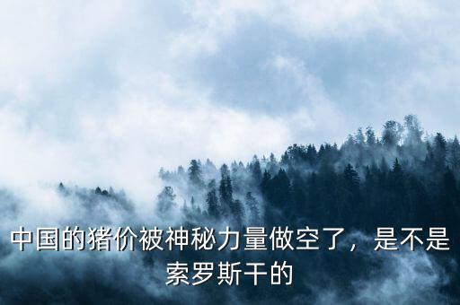 中國的豬價被神秘力量做空了，是不是索羅斯干的