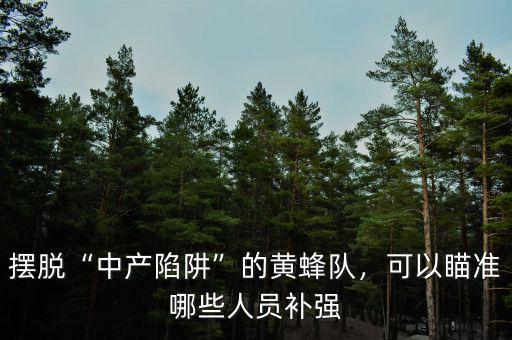 擺脫“中產(chǎn)陷阱”的黃蜂隊(duì)，可以瞄準(zhǔn)哪些人員補(bǔ)強(qiáng)