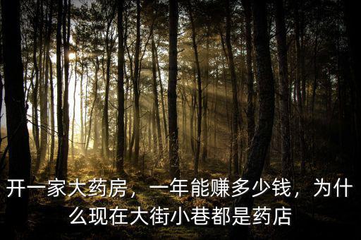 開一家大藥房，一年能賺多少錢，為什么現(xiàn)在大街小巷都是藥店