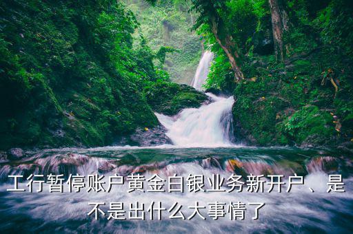 工行暫停賬戶黃金白銀業(yè)務(wù)新開(kāi)戶、是不是出什么大事情了