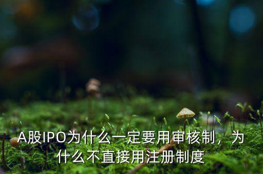 A股IPO為什么一定要用審核制，為什么不直接用注冊(cè)制度