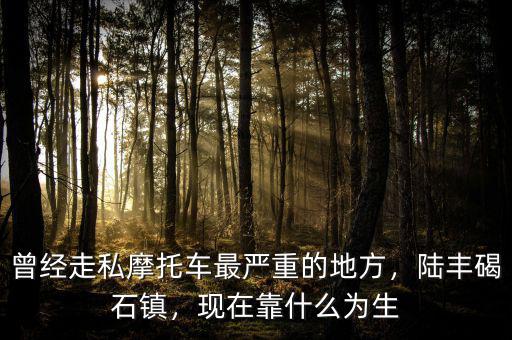 曾經(jīng)走私摩托車最嚴(yán)重的地方，陸豐碣石鎮(zhèn)，現(xiàn)在靠什么為生