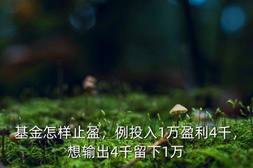 基金怎樣止盈，例投入1萬盈利4千，想輸出4千留下1萬