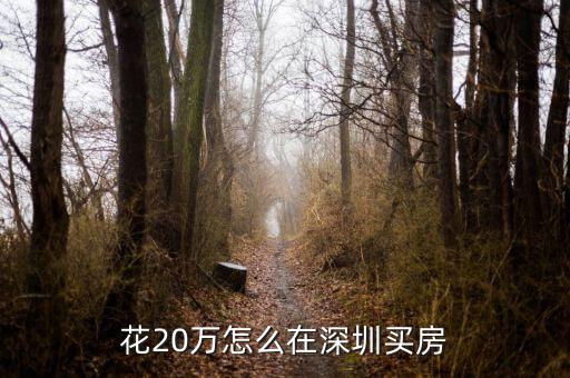 花20萬(wàn)怎么在深圳買房
