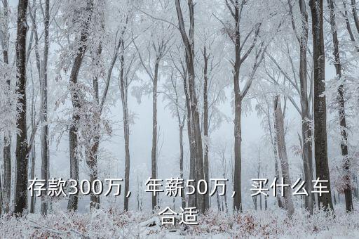 存款300萬，年薪50萬，買什么車合適