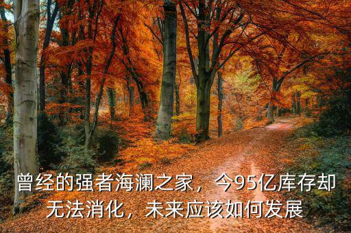 曾經(jīng)的強者海瀾之家，今95億庫存卻無法消化，未來應該如何發(fā)展