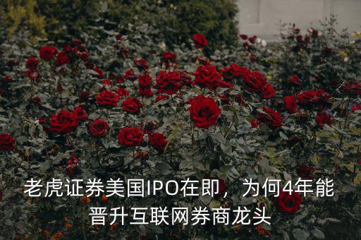 老虎證券怎么樣,老虎證券怎么樣