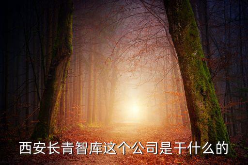 西安長青智庫這個(gè)公司是干什么的