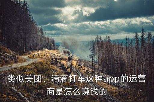 類似美團(tuán)、滴滴打車這種app的運(yùn)營商是怎么賺錢的