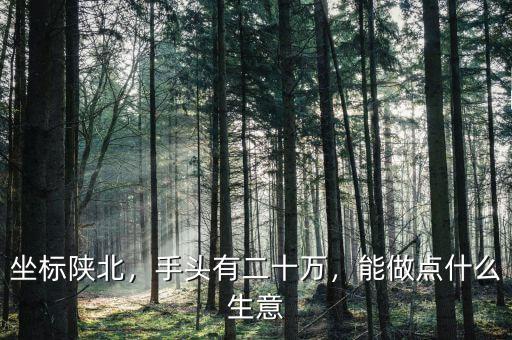 坐標陜北，手頭有二十萬，能做點什么生意