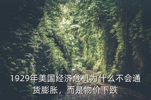 1929年美國經(jīng)濟危機為什么不會通貨膨脹，而是物價下跌