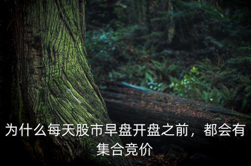 為什么每天股市早盤開盤之前，都會(huì)有集合競(jìng)價(jià)
