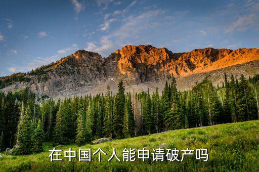 在中國個人破產意味著什么,在中國個人能申請破產嗎