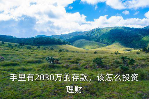 手里有2030萬的存款，該怎么投資理財
