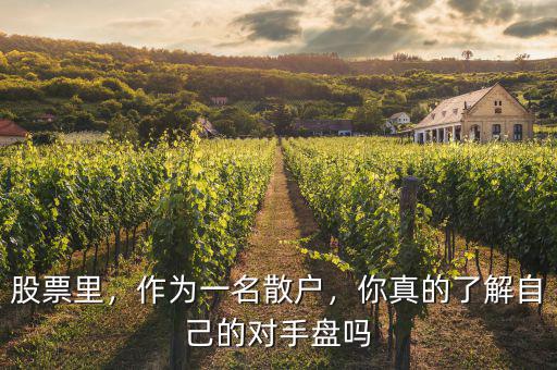 股票里，作為一名散戶，你真的了解自己的對手盤嗎