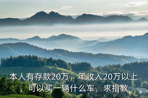 本人有存款20萬，年收入20萬以上，可以買一輛什么車，求指教