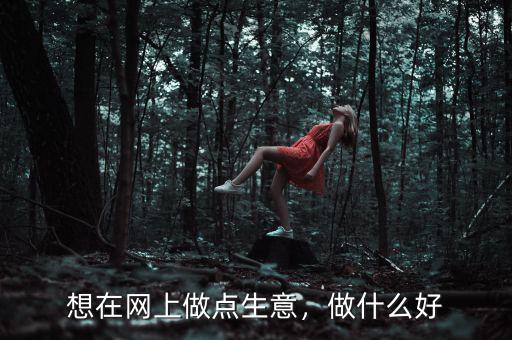 想在網(wǎng)上做點(diǎn)生意，做什么好