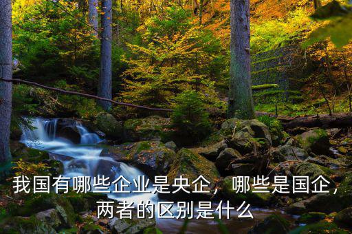 我國(guó)有哪些企業(yè)是央企，哪些是國(guó)企，兩者的區(qū)別是什么