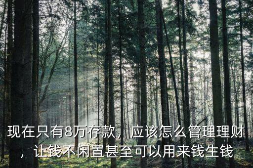 現(xiàn)在只有8萬(wàn)存款，應(yīng)該怎么管理理財(cái)，讓錢不閑置甚至可以用來(lái)錢生錢