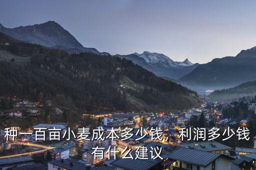 種一百畝小麥成本多少錢，利潤多少錢有什么建議