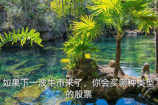 如果下一波牛市來了，你會(huì)買哪種類型的股票