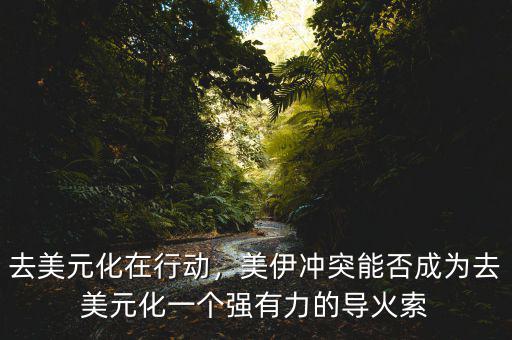 去美元化在行動(dòng)，美伊沖突能否成為去美元化一個(gè)強(qiáng)有力的導(dǎo)火索