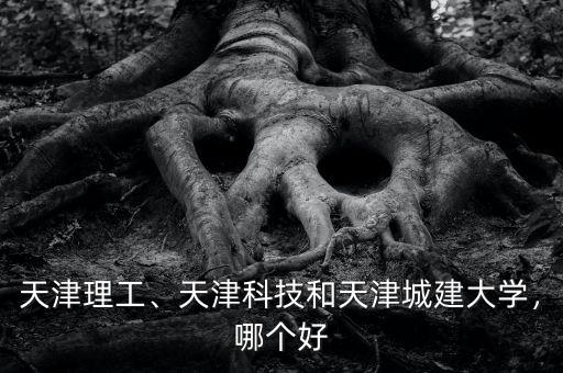 天津理工、天津科技和天津城建大學(xué)，哪個(gè)好