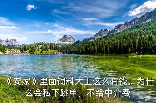 《安家》里面飼料大王這么有錢，為什么會(huì)私下跳單，不給中介費(fèi)