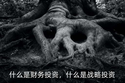 什么是財務(wù)投資，什么是戰(zhàn)略投資
