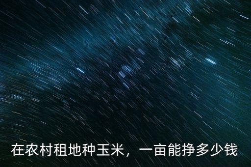 在農(nóng)村租地種玉米，一畝能掙多少錢