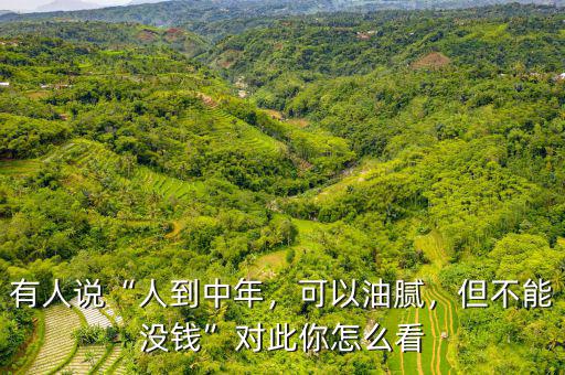 有人說“人到中年，可以油膩，但不能沒錢”對此你怎么看