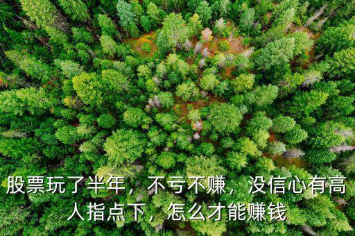 股票玩了半年，不虧不賺，沒信心有高人指點下，怎么才能賺錢