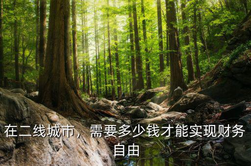 在二線城市，需要多少錢才能實現(xiàn)財務(wù)自由
