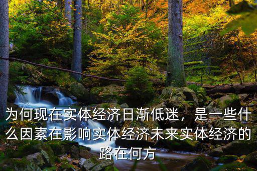 為何現(xiàn)在實(shí)體經(jīng)濟(jì)日漸低迷，是一些什么因素在影響實(shí)體經(jīng)濟(jì)未來(lái)實(shí)體經(jīng)濟(jì)的路在何方