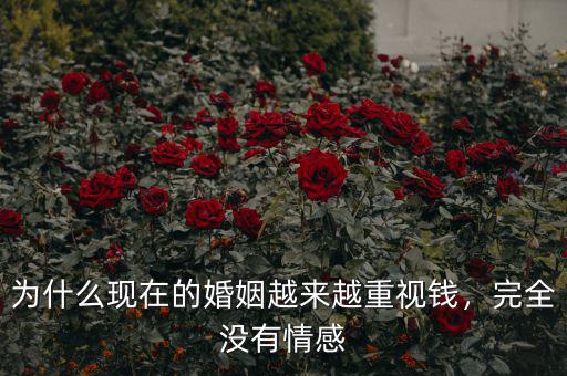 為什么現(xiàn)在的婚姻越來越重視錢，完全沒有情感