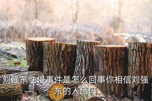 劉強(qiáng)到底怎么回事,劉強(qiáng)東性侵事件是怎么回事