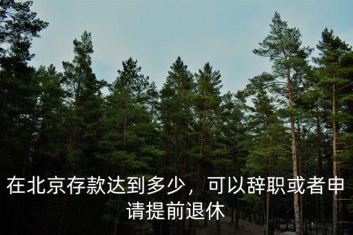 在北京存款達到多少，可以辭職或者申請?zhí)崆巴诵? class=