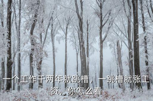 一個(gè)工作干兩年就跳槽，一跳槽就漲工資，你怎么看