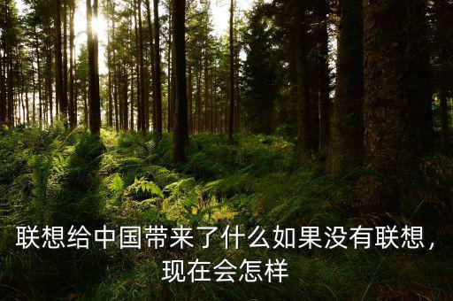 聯(lián)想給中國帶來了什么如果沒有聯(lián)想，現在會怎樣