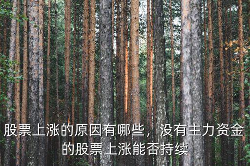 股票上漲的原因有哪些，沒(méi)有主力資金的股票上漲能否持續(xù)