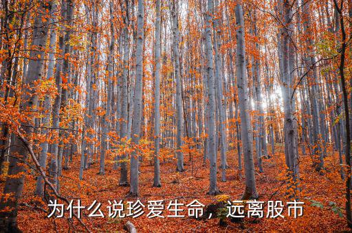 為什么說珍愛生命，遠離股市