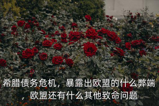 希臘債務(wù)危機(jī)，暴露出歐盟的什么弊端，歐盟還有什么其他致命問題