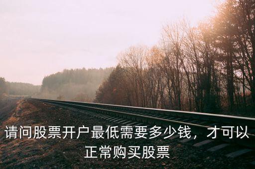請(qǐng)問(wèn)股票開(kāi)戶最低需要多少錢，才可以正常購(gòu)買股票